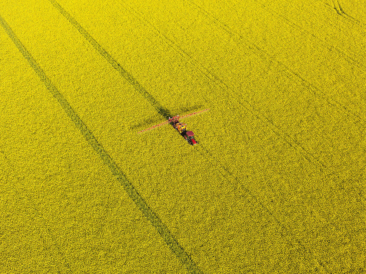 Luftaufnahme eines Traktors im Rapsfeld