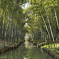 Künstlich angelegter Wasserkanal im National Wetland Park, Suzhou. © Sun Xiaodong