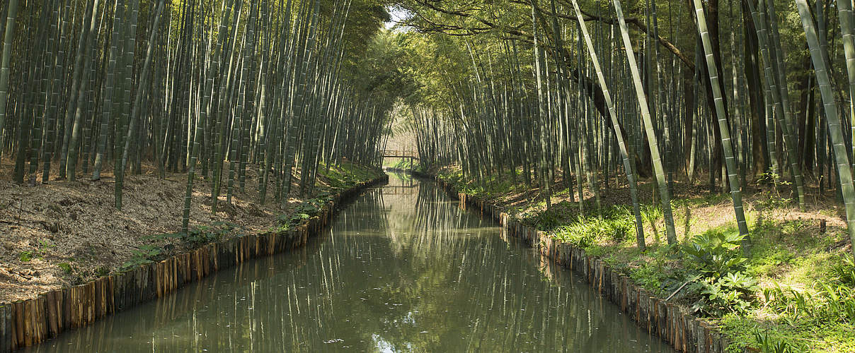 Künstlich angelegter Wasserkanal im National Wetland Park, Suzhou. © Sun Xiaodong