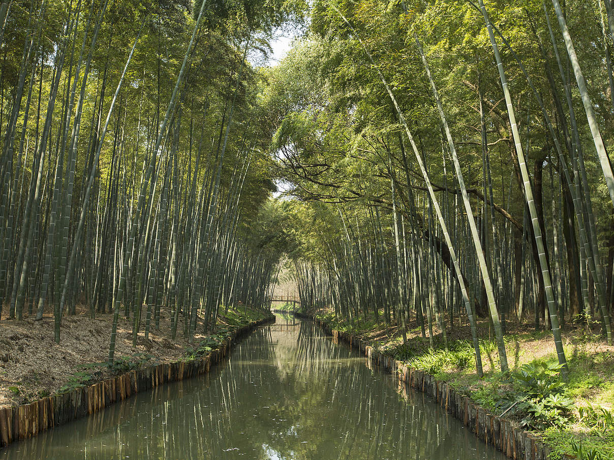 Künstlich angelegter Wasserkanal im National Wetland Park, Suzhou. © Sun Xiaodong