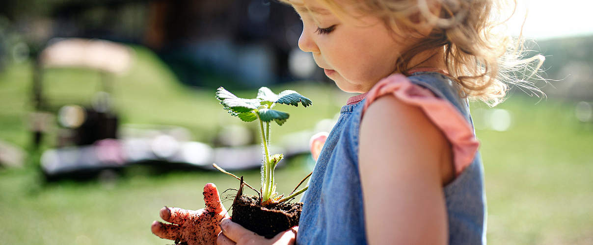 Mädchen mit Erdbeerpflanze im Garten © Shutterstock / WWF-UK 