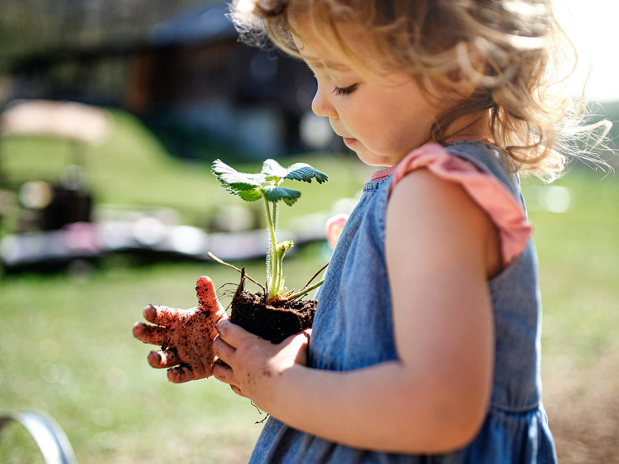 Mädchen mit Erdbeerpflanze im Garten © Shutterstock / WWF-UK 