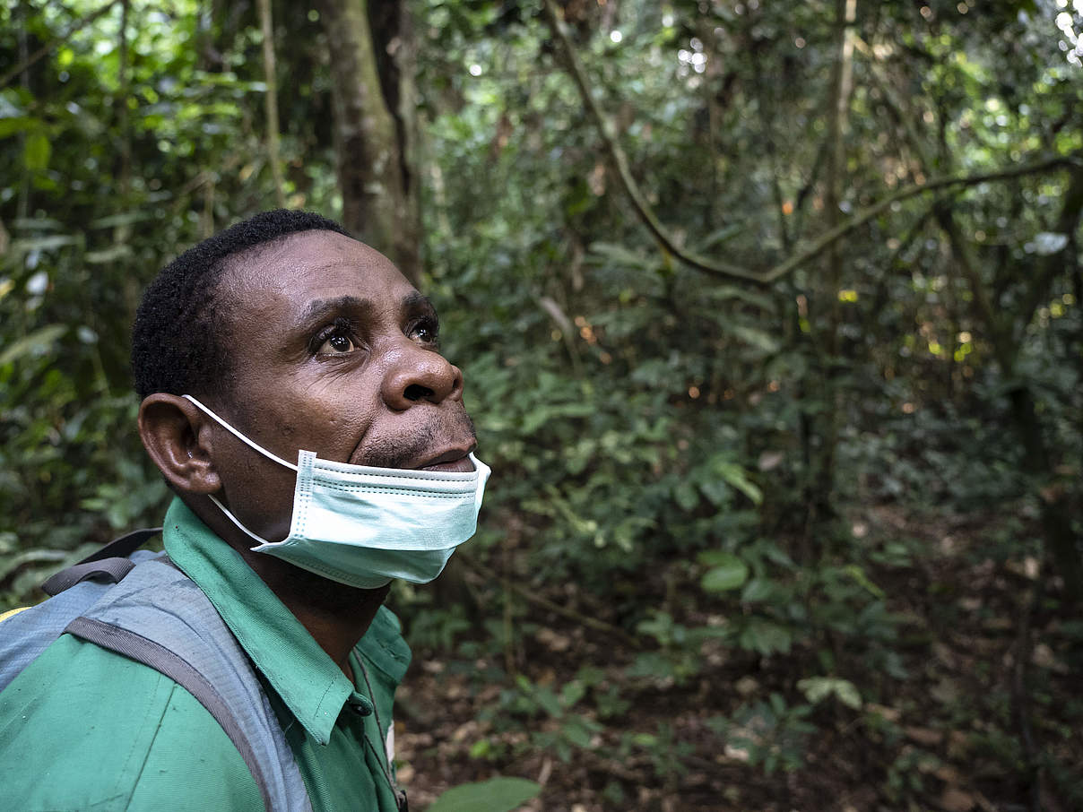 Gorilla Tracker in Dzanga-Sangha © Andy Isaacson / WWF-US