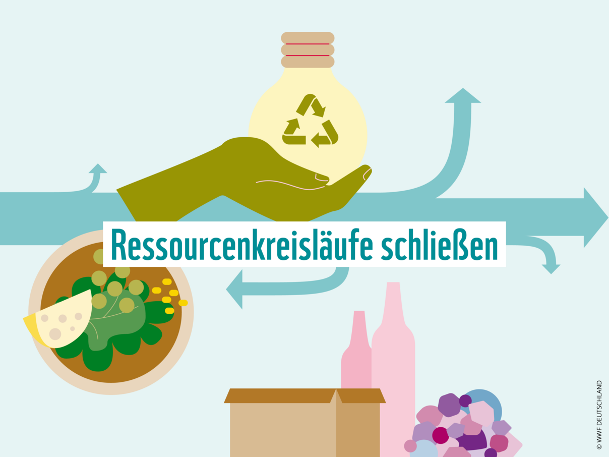 Grafik: Ressourcenkreisläufe schließen © WWF