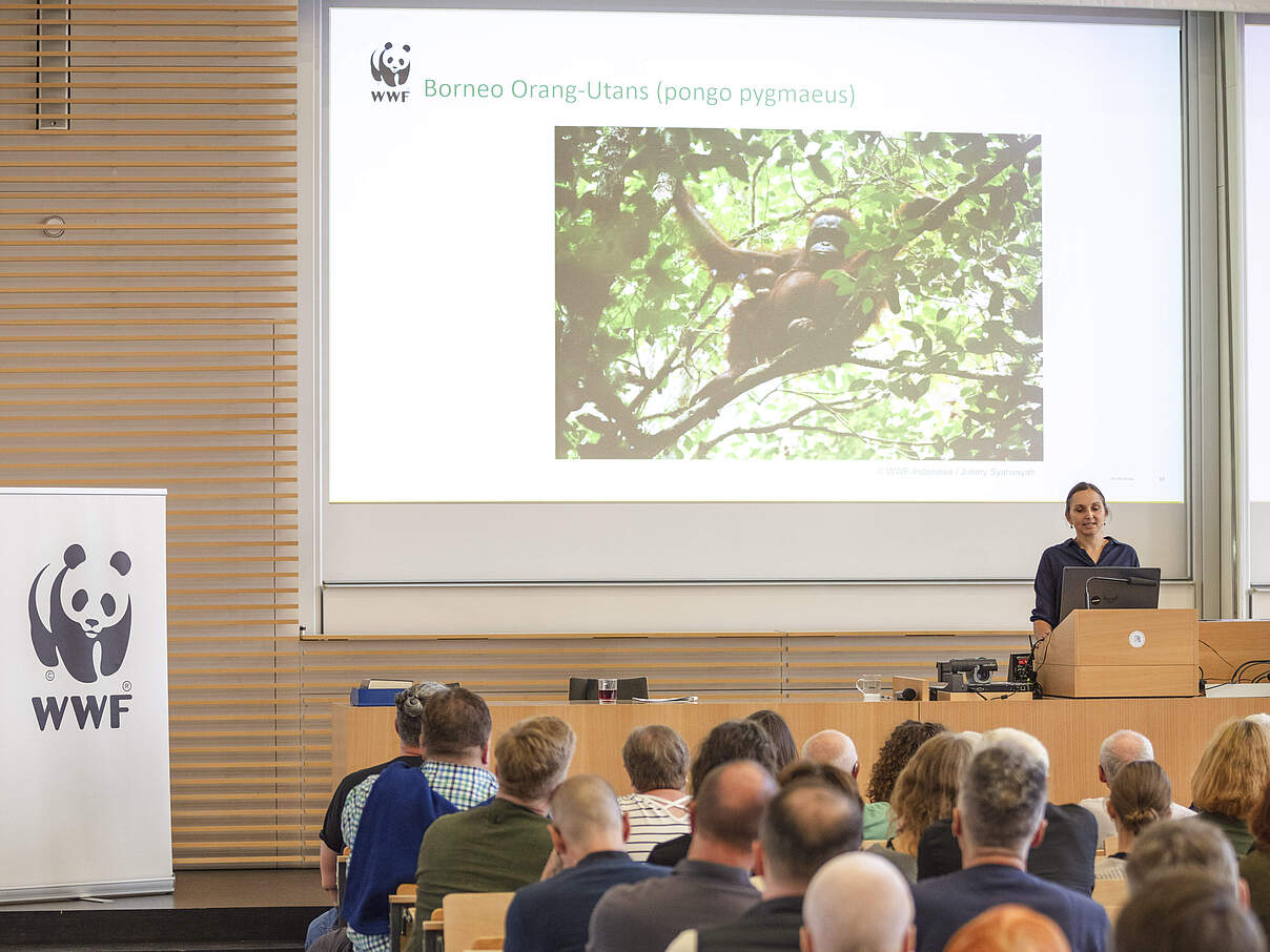 Borneo-Vortrag von Susanne Gotthardt beim Global Protector Treffen 2024 © Kathrin Tschirner / WWF Borneo-Vortrag von Susanne Gotthardt beim Global Protector Treffen 2024 © Kathrin Tschirner / WWF