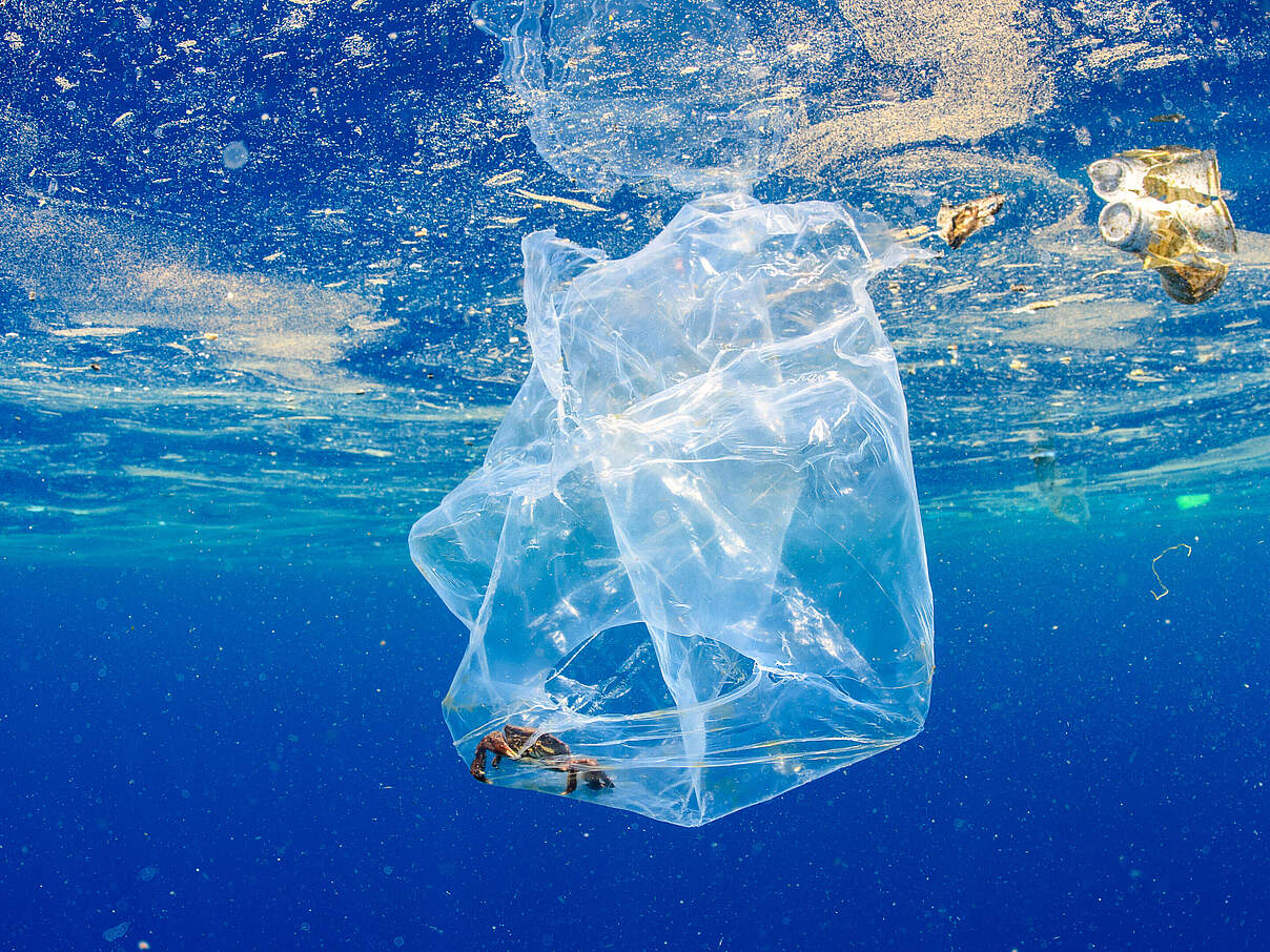 Plastiktüte im Wasser © Alex Mustard / naturepl.com / WWF