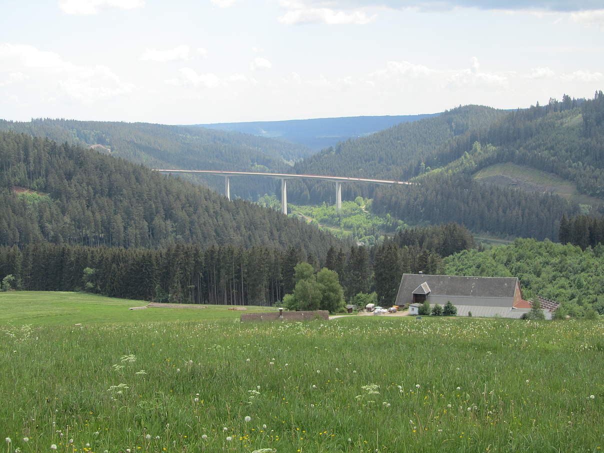 Südschwarzwald © Kristina Walter