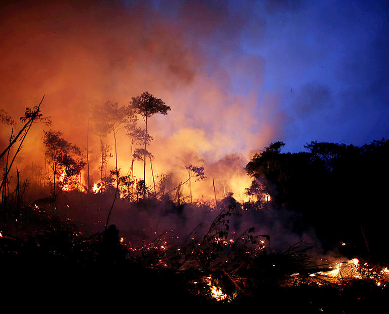 Feuer im Amazonas © picture alliance / Reuters / Ueslei Marcelino