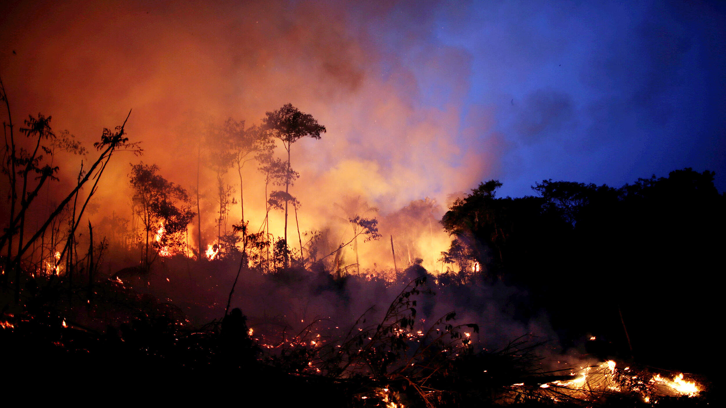 Feuer im Amazonas © picture alliance / Reuters / Ueslei Marcelino