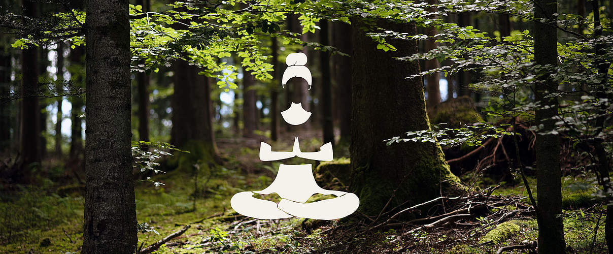 Schwarzwald / Waldmeditation © Claudi Nir / WWF