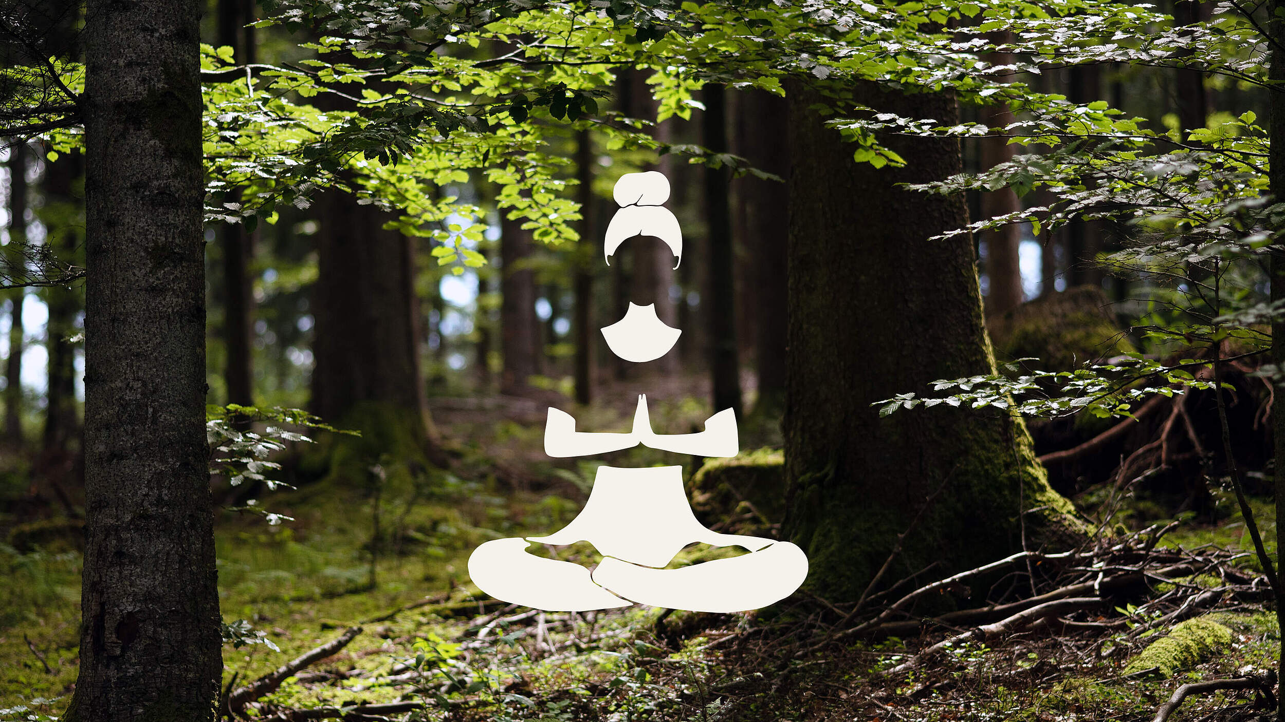 Schwarzwald / Waldmeditation © Claudi Nir / WWF