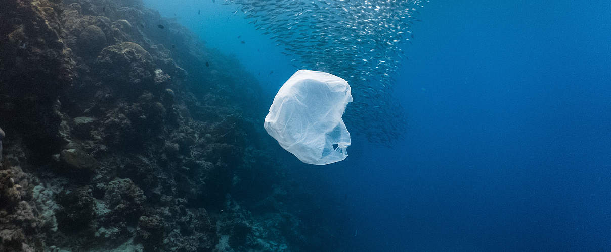 Einwegplastiktüte im Meer © John Cuyos / Shutterstock / WWF