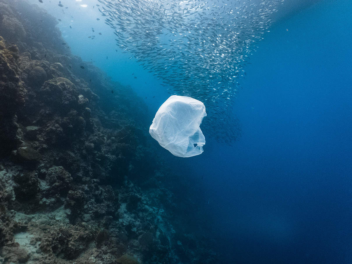Einwegplastiktüte im Meer © John Cuyos / Shutterstock / WWF