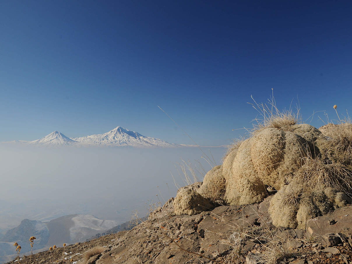 Die hohen Gipfel des Kaukasus © Aurel Heidelberg / WWF Deutschland