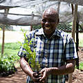 Ein Mitarbeiter in der Baumschule des WWF-Aufforstungsprogramms im Chepalungu Waldschutzgebiet in Kenia © Federick Wissah / WWF-Kenya 