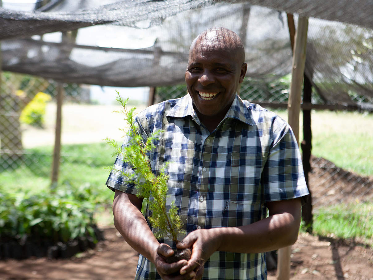 Ein Mitarbeiter in der Baumschule des WWF-Aufforstungsprogramms im Chepalungu Waldschutzgebiet in Kenia © Federick Wissah / WWF-Kenya 