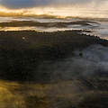Nourages Naturreservat im Nebel © Emmanuel Rondeau / WWF Frankreich