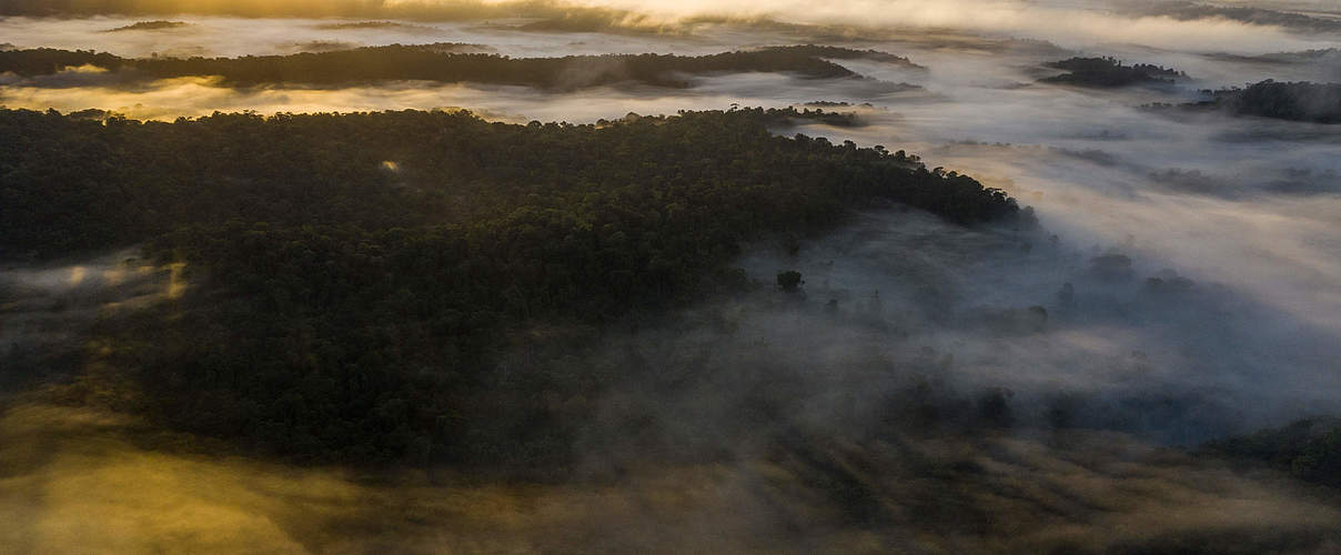 Nourages Naturreservat im Nebel © Emmanuel Rondeau / WWF Frankreich