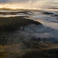 Nourages Naturreservat im Nebel © Emmanuel Rondeau / WWF Frankreich