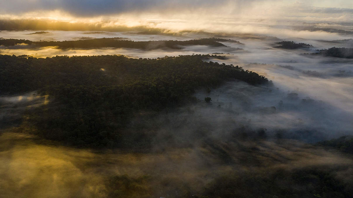 Nourages Naturreservat im Nebel © Emmanuel Rondeau / WWF Frankreich