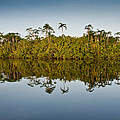 © Alejandro Polling / WWF-Colombia