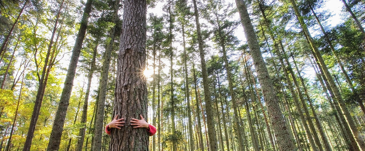 Mann umarmt Baum © iStock / Getty Images