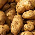 Kartoffeln © Ola Jennersten / WWF Schweden