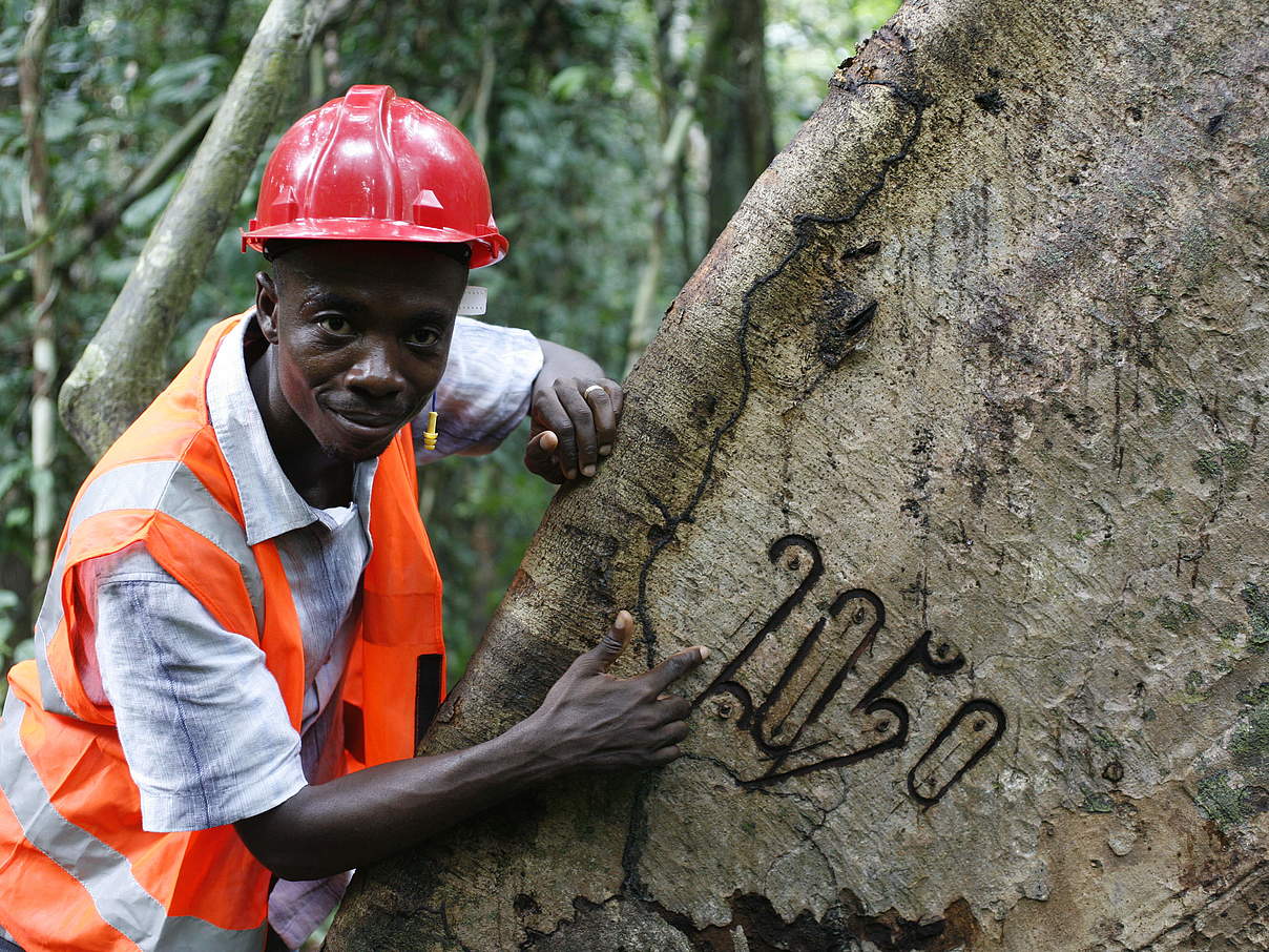 Teilnehmer am WWF Global Forest and Trade Network © Hartmut Jungius / WWF-Canon