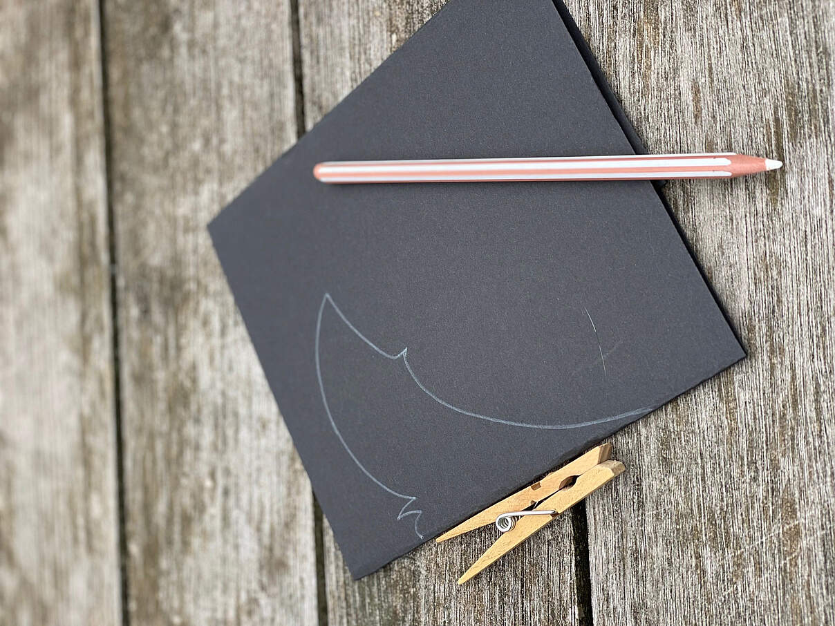 Fledermäuse basteln 