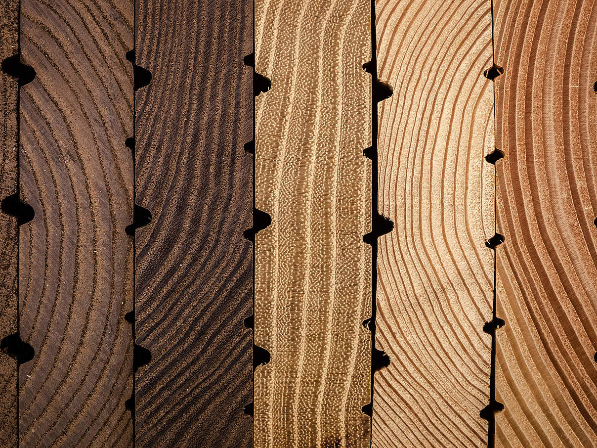 Holzmuster des Thünen Instituts © Ilja Hendel