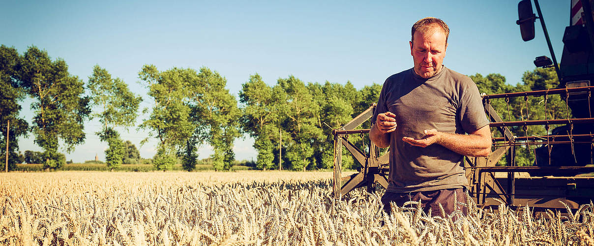 Bauer im Weizenfeld © BigDuckSix / iStock / GettyImages Plus