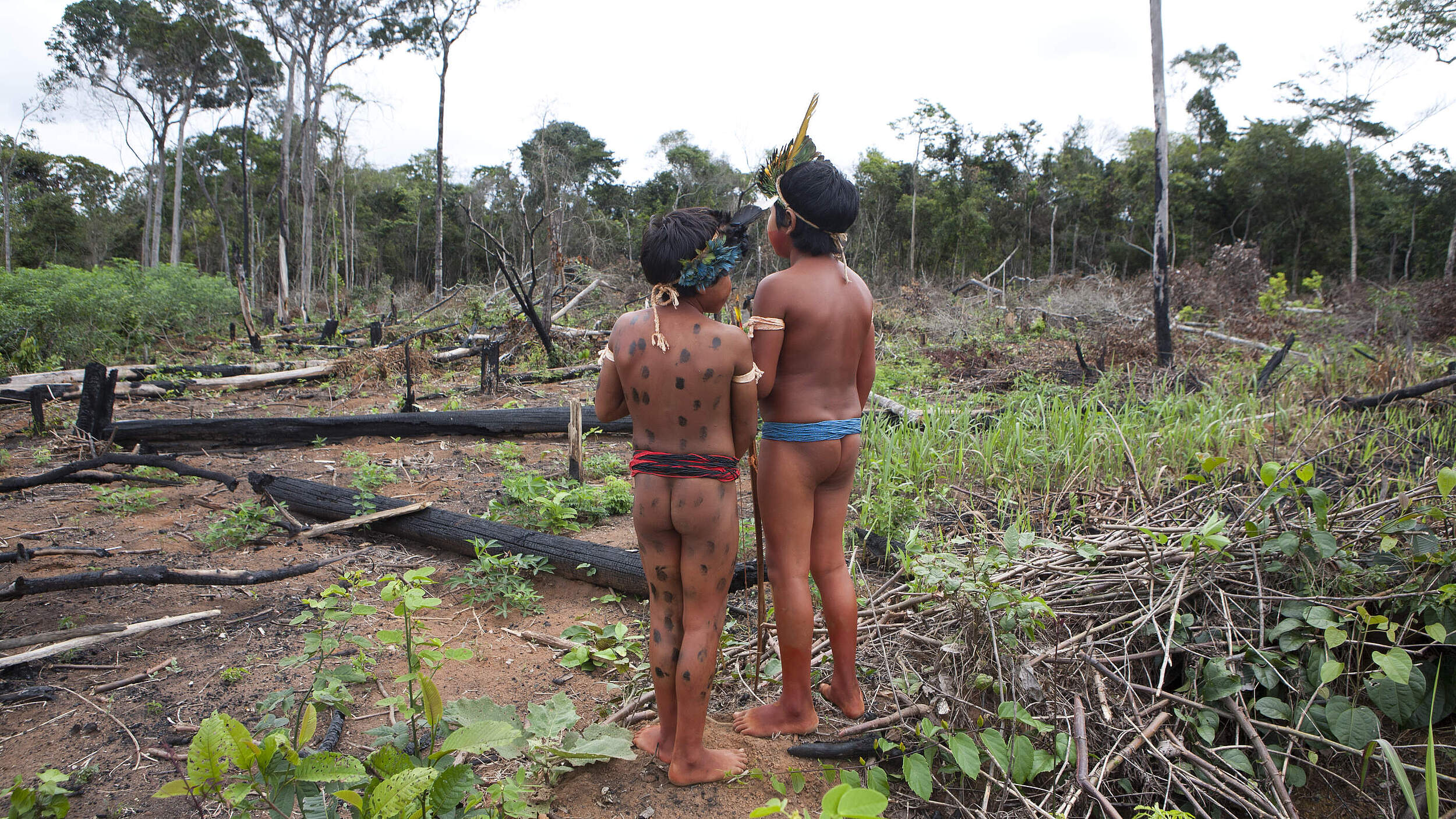 Der Amazonas ist stark bedroht © Ton Koene / Picture Alliance
