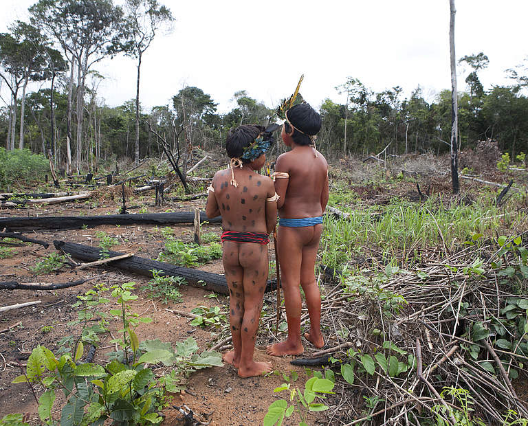 Der Amazonas ist stark bedroht © Ton Koene / Picture Alliance
