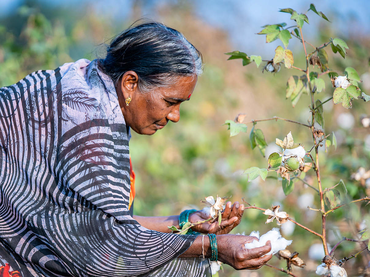 Frau beim Baumwollanbau im Satpura-Pench-Korridor © WWF Indien