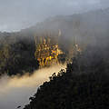Kolumbianische Wälder im Nebel © Pablo Mejía / WWF Colombia