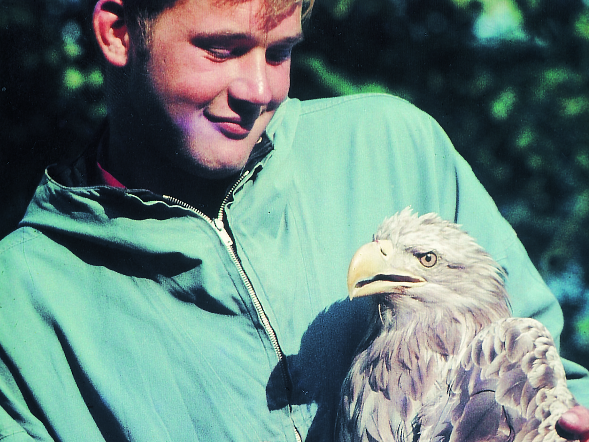 Thomas Neumann, der erste Mitarbeiter des WWF Deutschland bei der Beringung eines Seeadlers.
