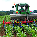 Landwirtschaftsministerium torpediert EU-Agrarreform. © agrarfoto.com / WWF