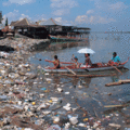 Plastikmüll an der Küste ©Jürgen Freud WWF