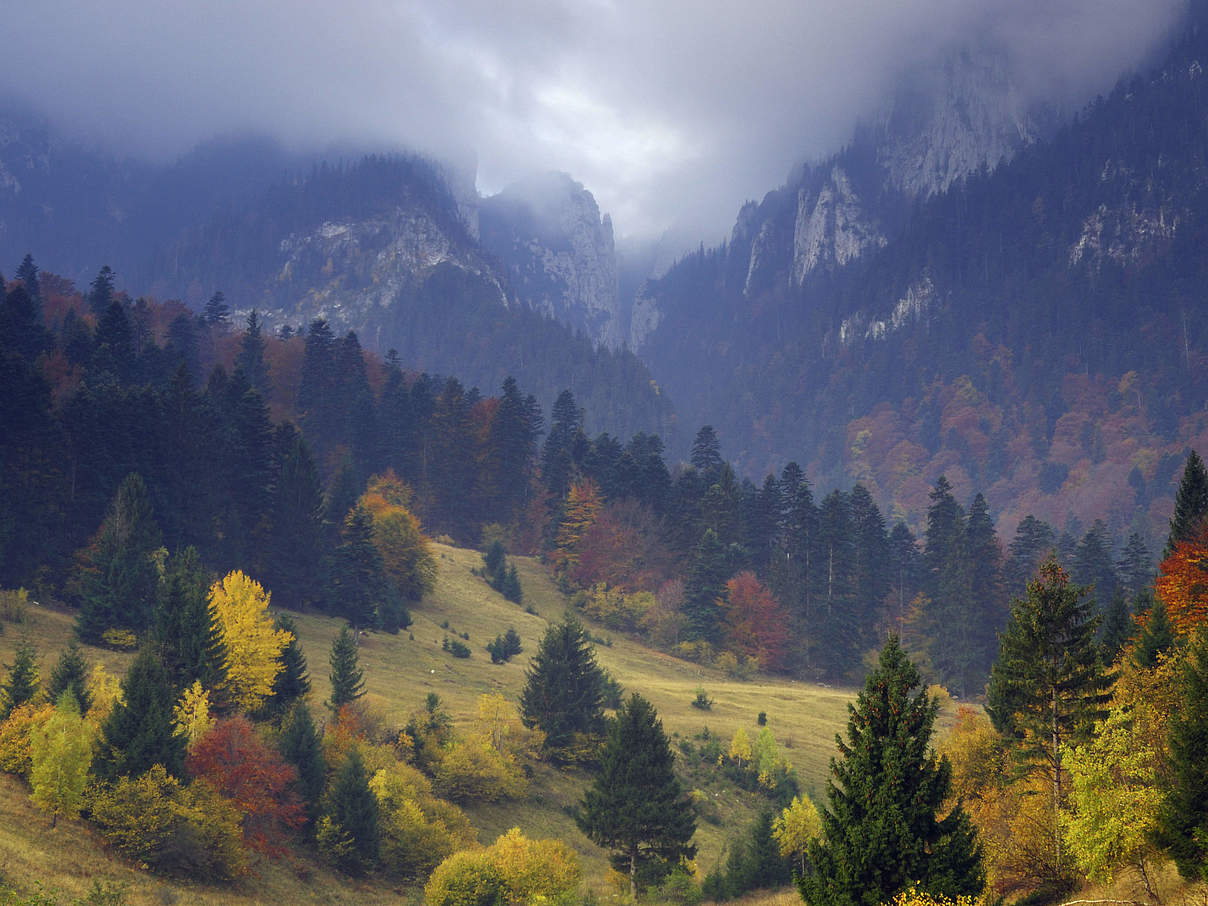 Fels des Königs im Nationalpark Piatra Craiului, Siebenbürgen, Südkarpaten, Rumänien. © Wild Wonders of Europe / Dürr / naturepl.com