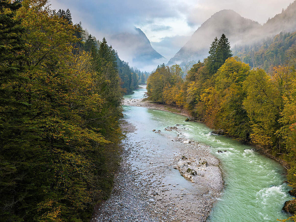 Verbundprojekt Fluss.Frei.Raum © Andreas Volz / WWF