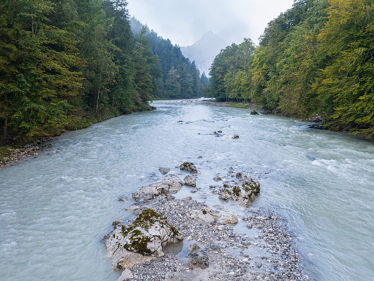 Der Fluss Saalach © Andreas Volz / WWF Der Fluss Saalach