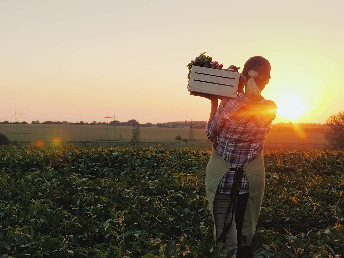 Landwirtin bei der Ernte © GettyImages