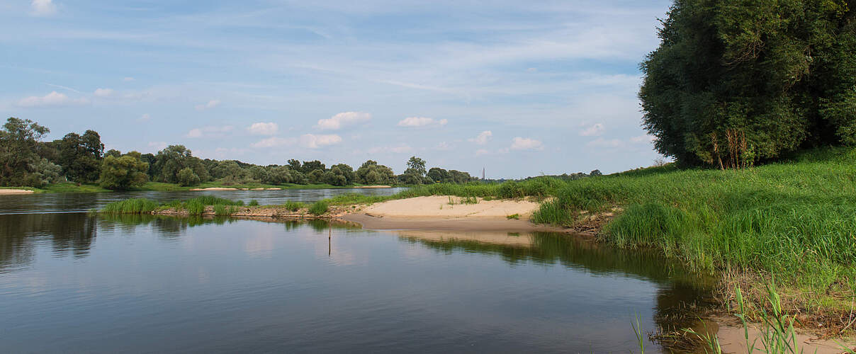 WWF-Projektgebiet Mittlere Elbe