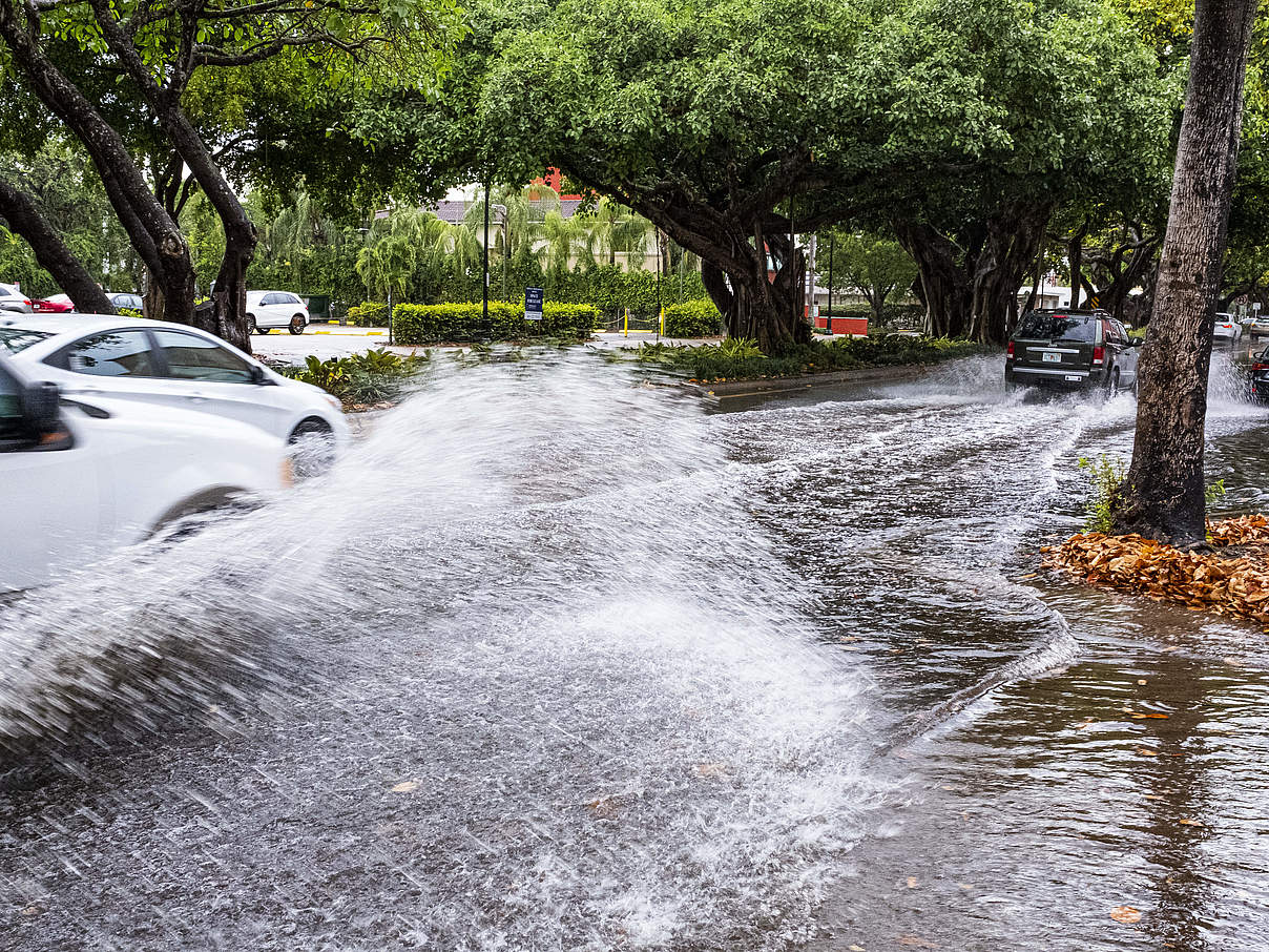 Überschwemmte Straßen © Jason Houston / WWF-US