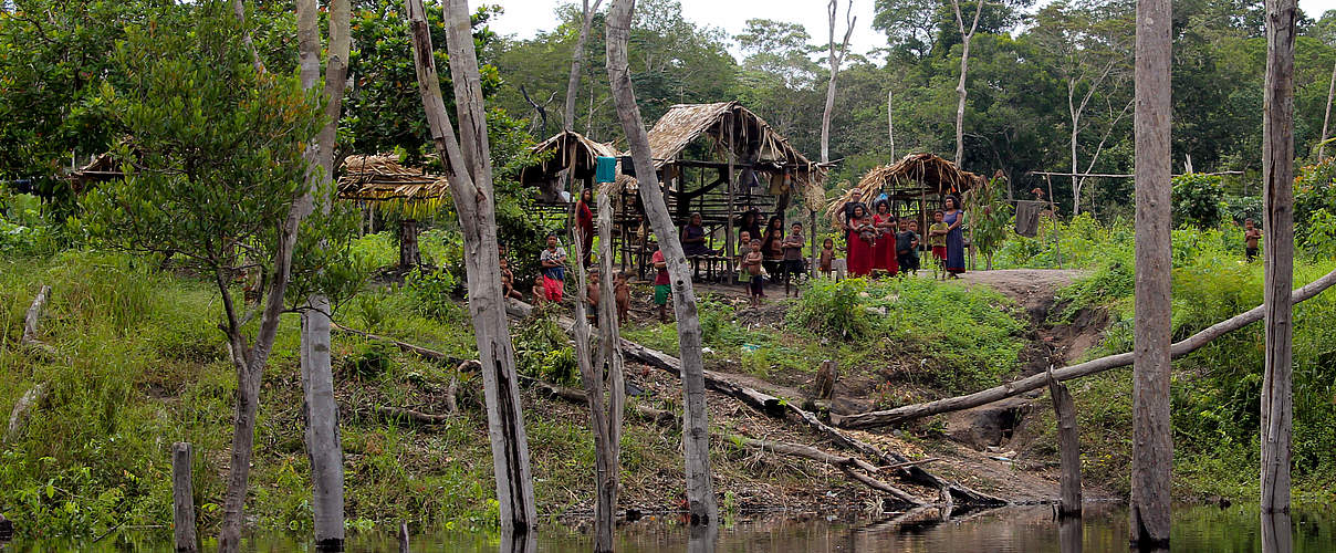 Siedlung am Amazonas © Clêiton Ramos / COIAB / WWF-Brasil / DSEI 