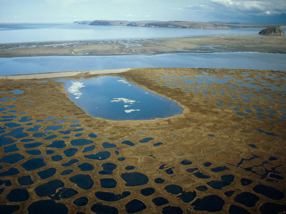 Delta des Lena Flusses © Peter Prokosch / WWF