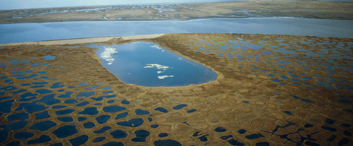 Delta des Lena Flusses © Peter Prokosch / WWF