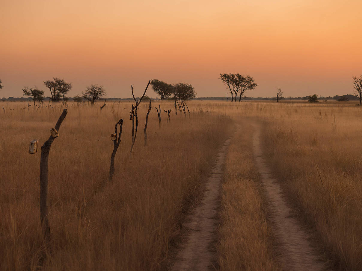 Namibia © Gareth Bentley / WWF-US