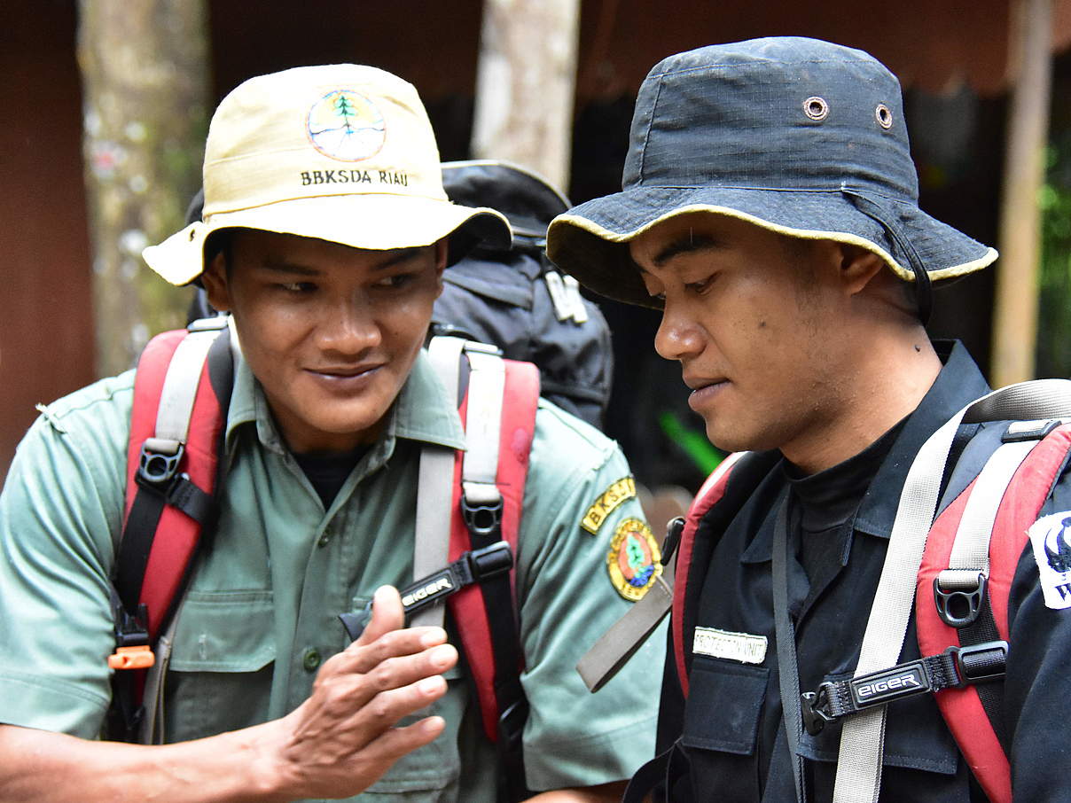 Die Ranger leisten einen wichtigen Beitrag zum Schutz der Tiger © WWF Indonesien