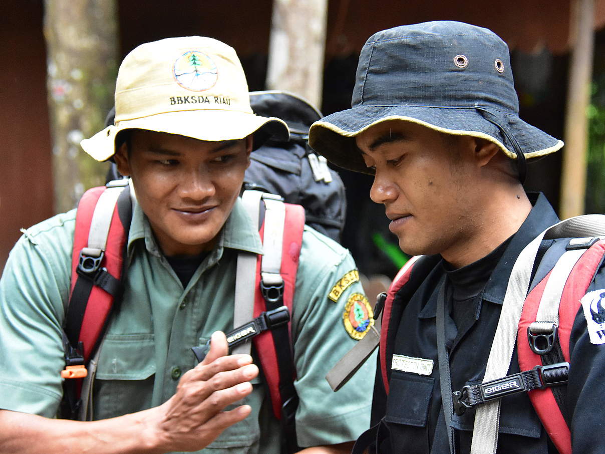 Die Ranger leisten einen wichtigen Beitrag zum Schutz der Tiger © WWF Indonesien Die Ranger leisten einen wichtigen Beitrag zum Schutz der Tiger © WWF Indonesien